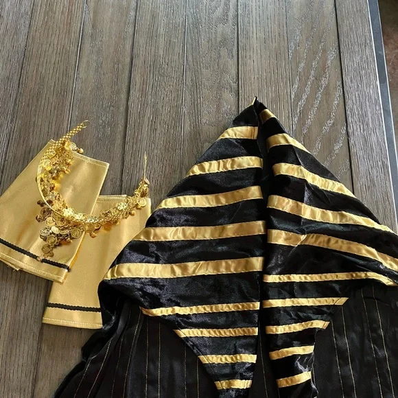 Egyptian Pharaoh Costume - Black and Gold - Picture 3 of 4